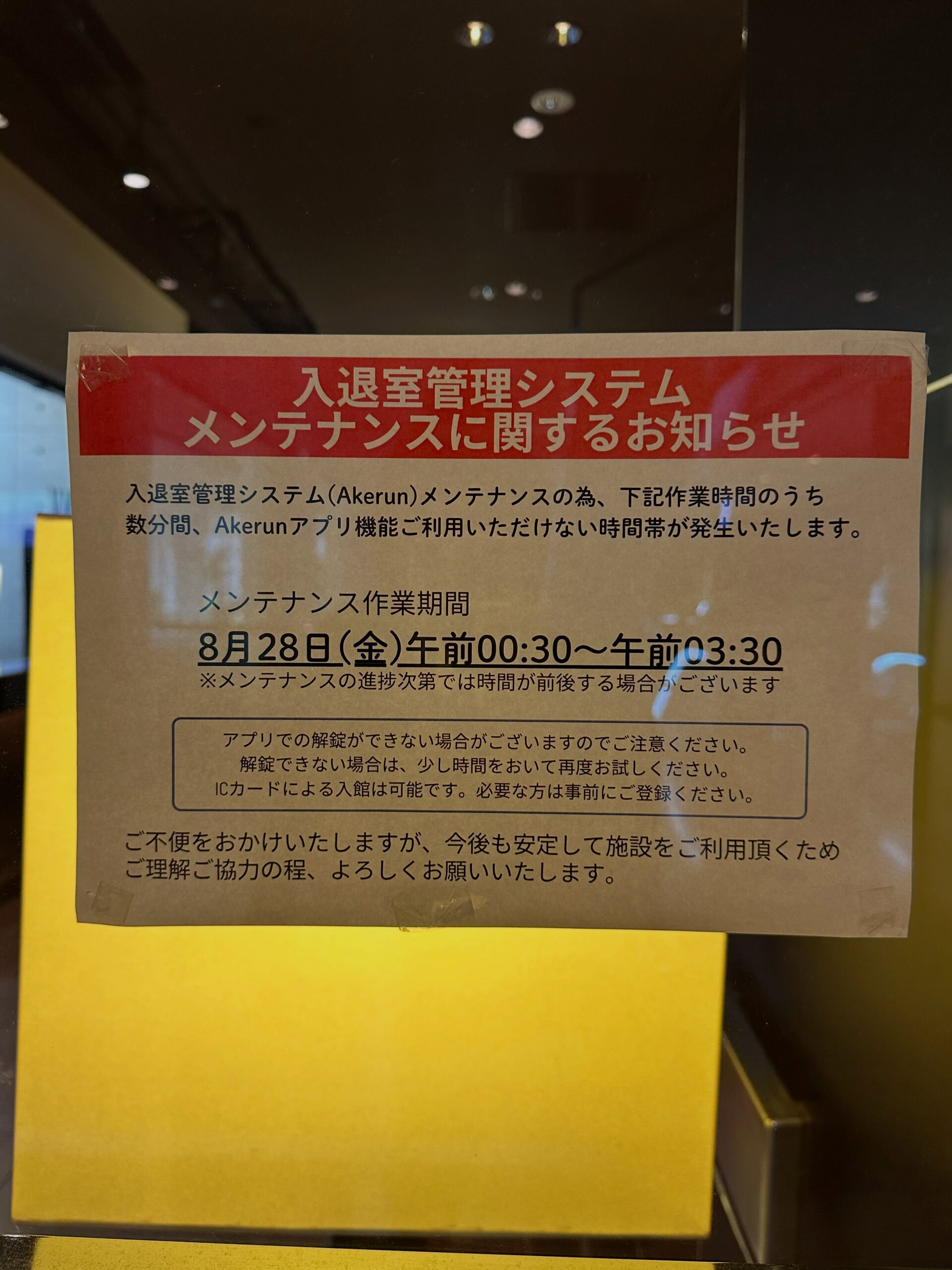 こんにちは🌞