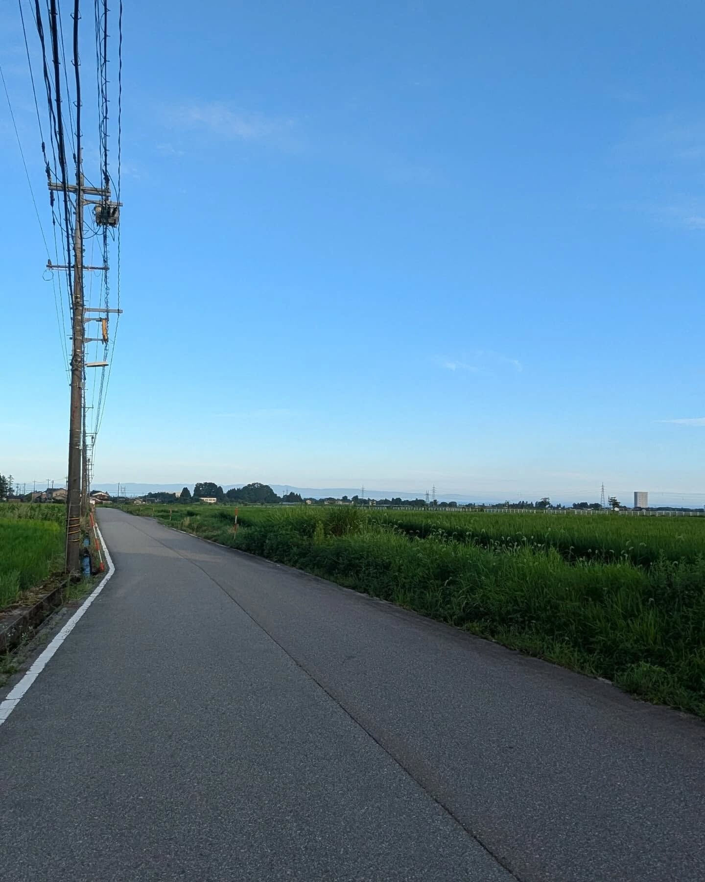 こんにちは！
