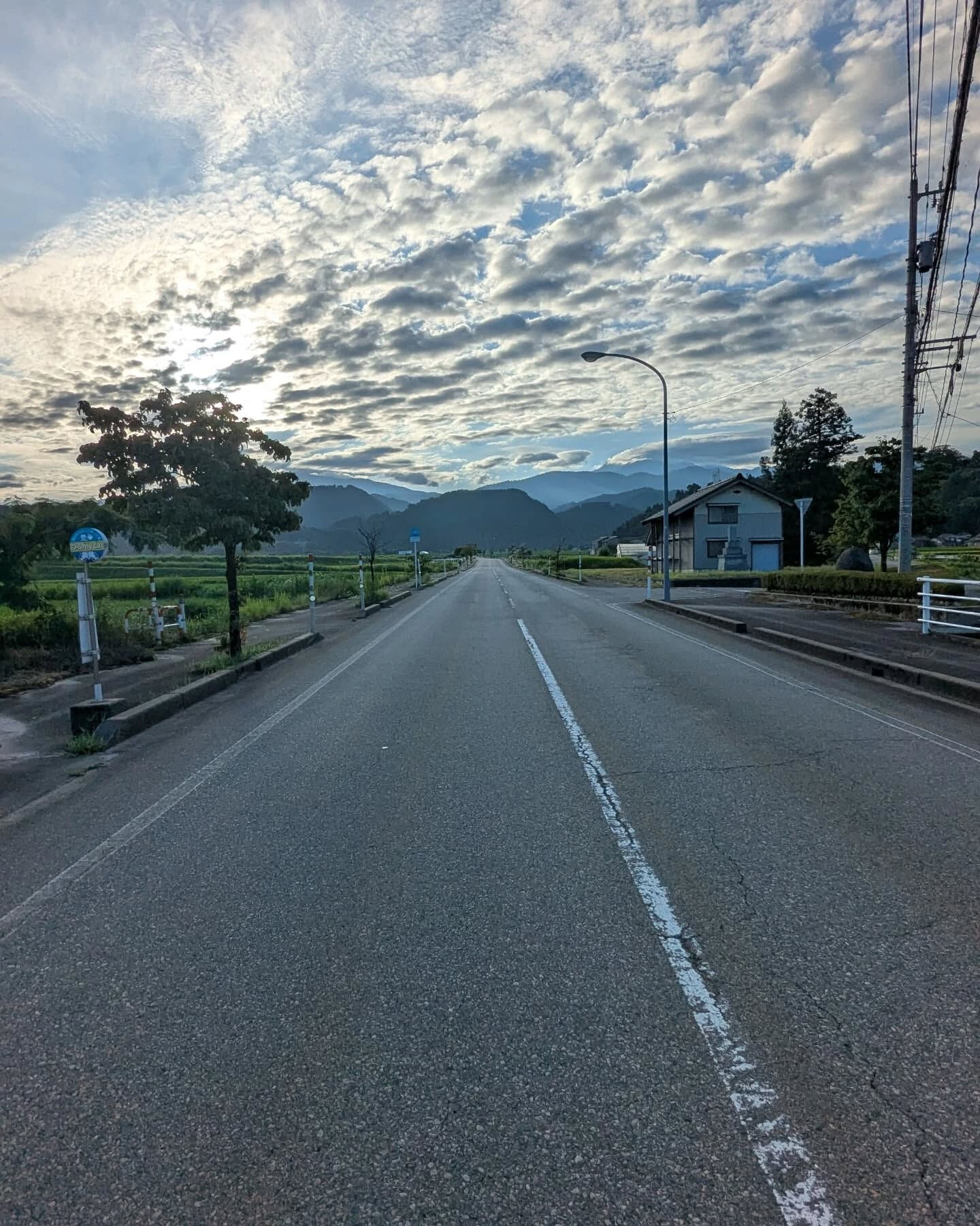 こんにちは！