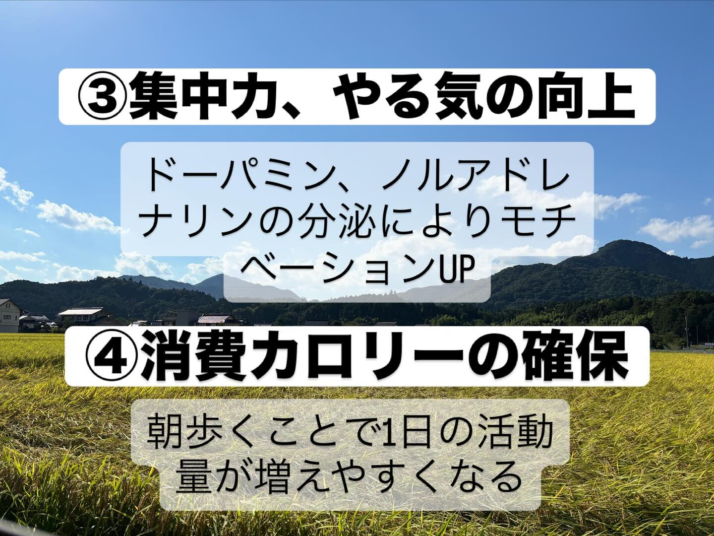 本日もご来館頂きありがとうございます‼️