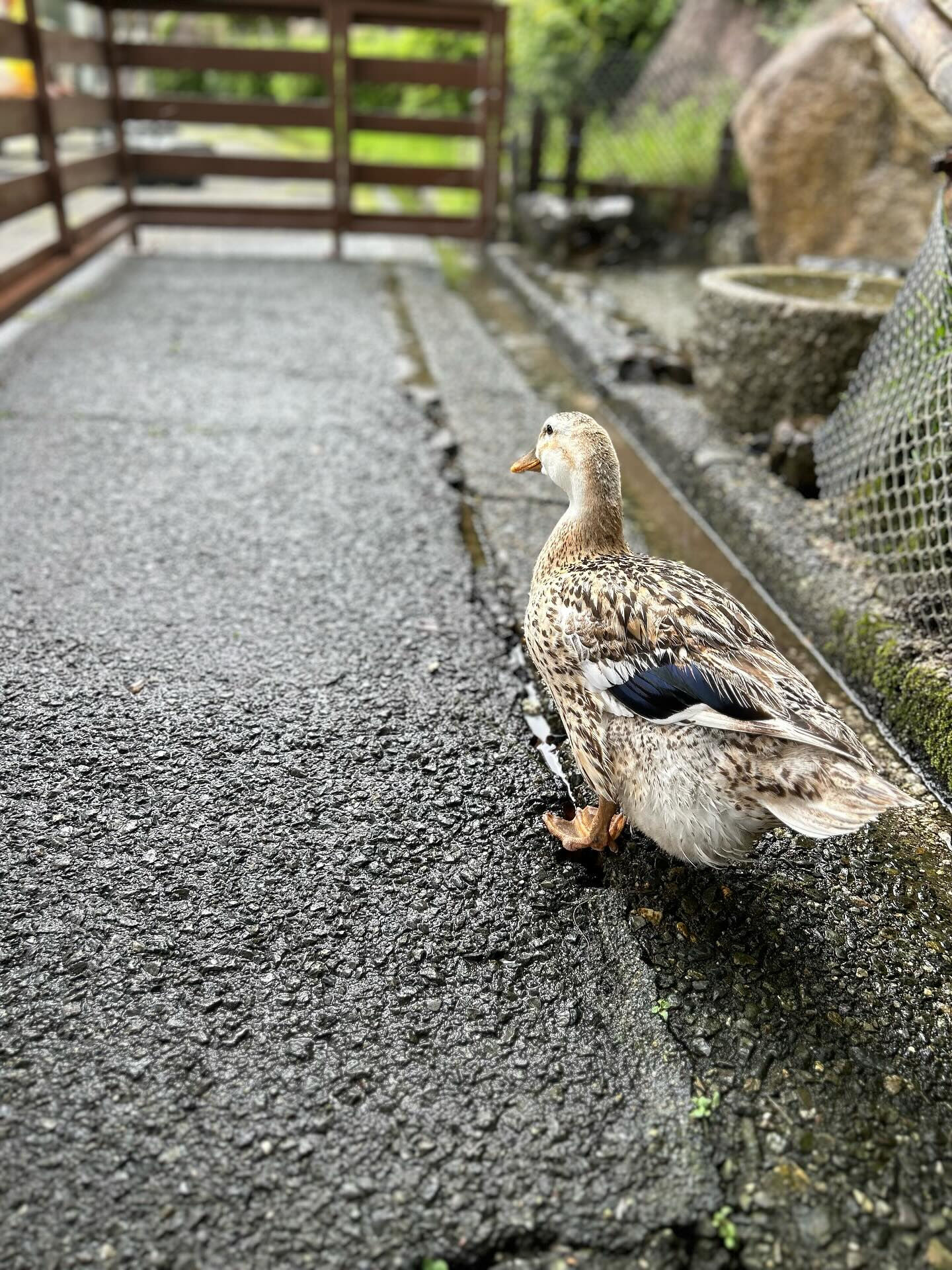こんにちは❗️