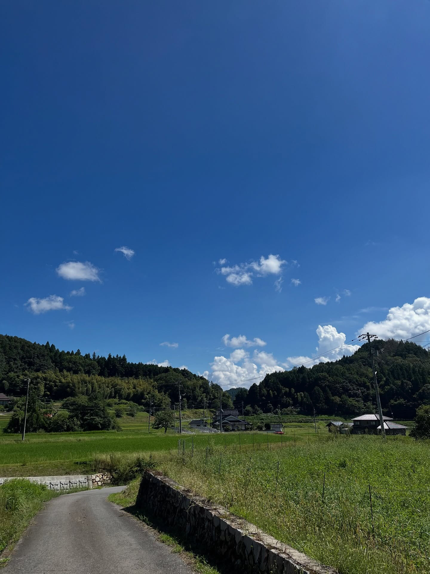 皆さん、こんにちは🙂