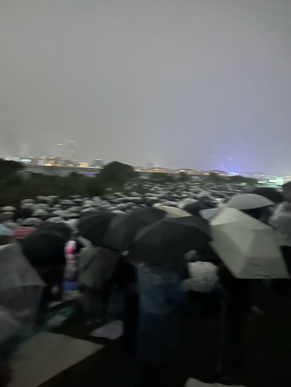 こんにちは！