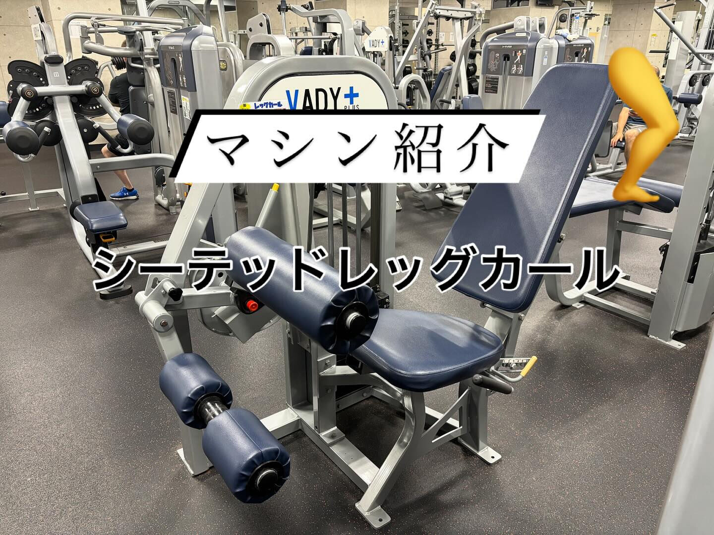 本日もご来館頂きありがとうございます‼️