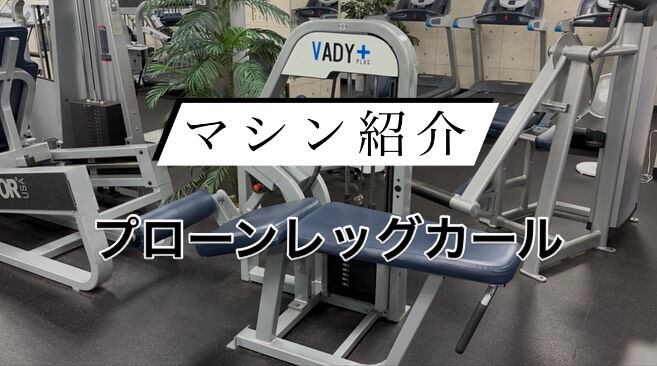 本日もご来館頂きありがとうございます‼️
