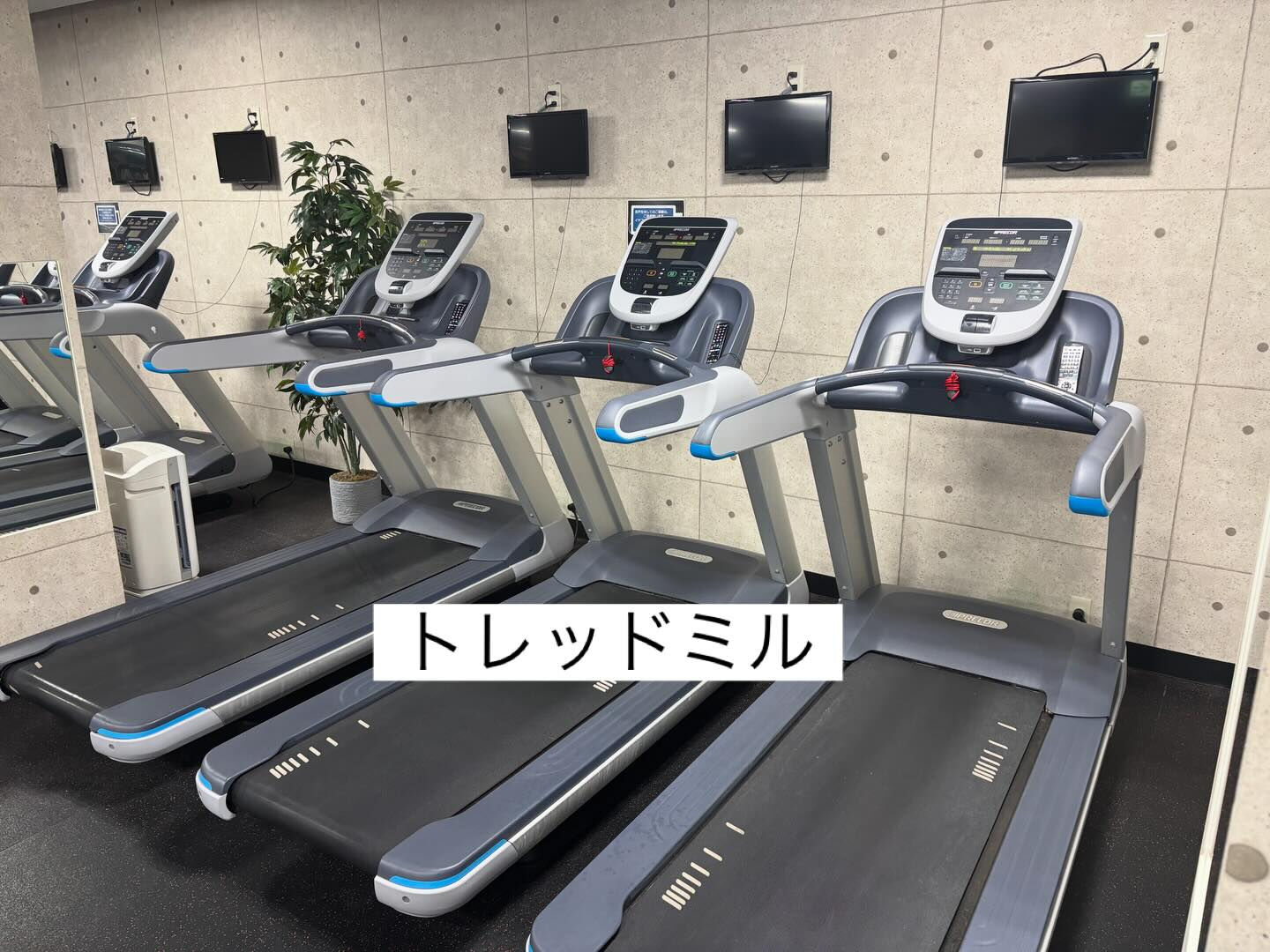 本日もご来館頂きありがとうございます‼️